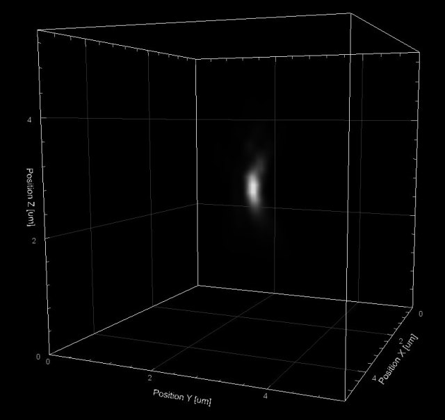 LSM700 40xoil 01 PH5 crop1_002